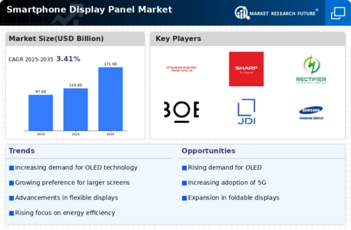 Smartphone Display Panel Market Infographic
