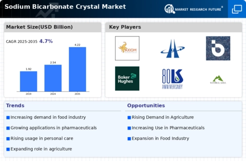 Sodium Bicarbonate Crystal Market Infographic