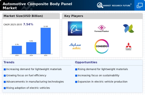 Automotive Composite Body Panel Market Infographic