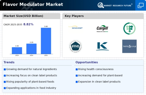 Flavor Modulator Market Infographic
