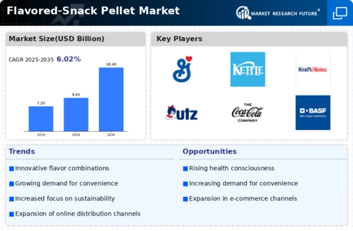 Flavored Snack Pellet Market Infographic