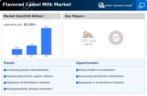 Flavored Camel Milk Market Infographic