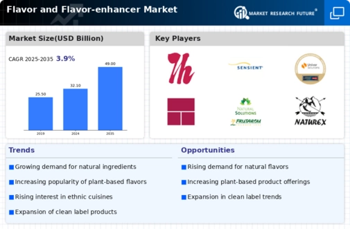 Flavor and Flavor-enhancer Market Infographic