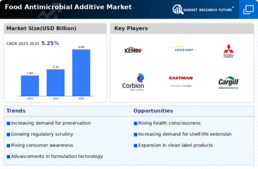 Food Antimicrobial Additive Market Infographic