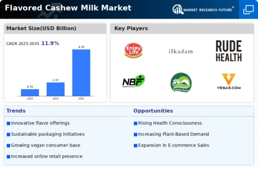 Flavored Cashew Milk Market Infographic