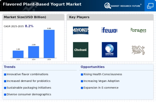 Flavored Plant Based Yogurt Market
 Infographic