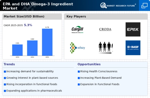 EPA and DHA Omega-3 Ingredient Market Infographic