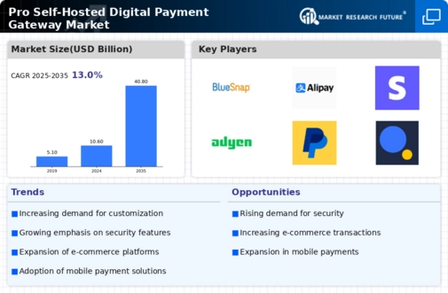 Pro Self Hosted Digital Payment Gateway Market Infographic