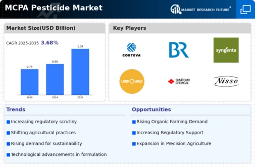 MCPA Pesticide Market Infographic