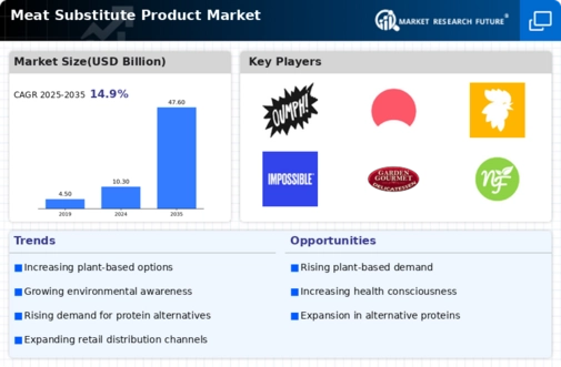 Meat Substitute Product Market Infographic