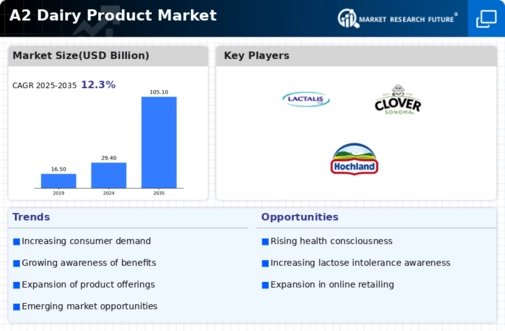 A2 Dairy Product Market Infographic