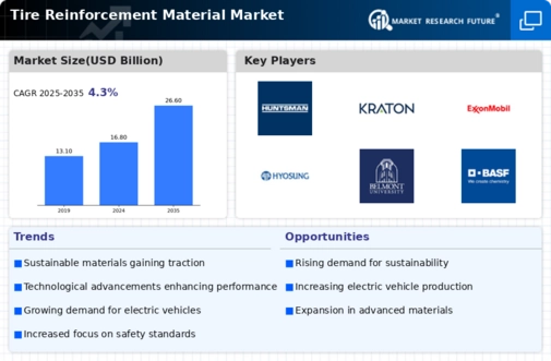 Tire Reinforcement Material Market Infographic