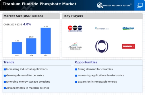 Titanium Fluoride Phosphate Market Infographic