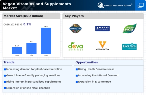 Vegan Vitamins and Supplements Market Infographic