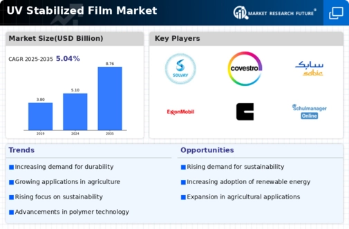 UV Stabilized Film Market Infographic