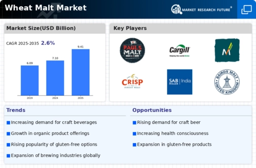 Wheat Malt Market Infographic