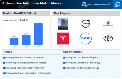Automotive Induction Motor Market Infographic