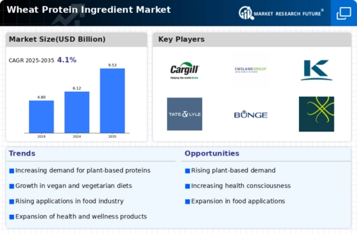 Wheat Protein Ingredient Market Infographic