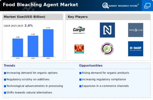 Food Bleaching Agent Market Infographic