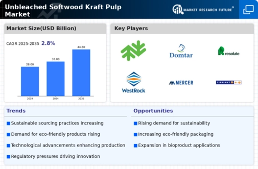 Unbleached Softwood Kraft Pulp Market Infographic