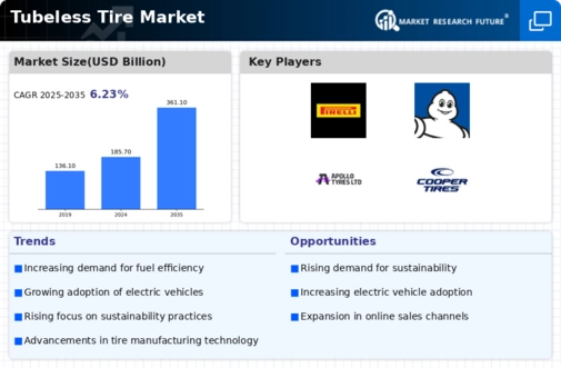 Tubeless Tire Market Infographic