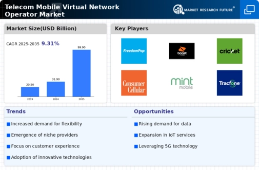 Telecom Mobile Virtual Network Operator Market Infographic