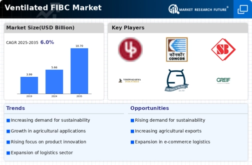 Ventilated FIBC Market Infographic