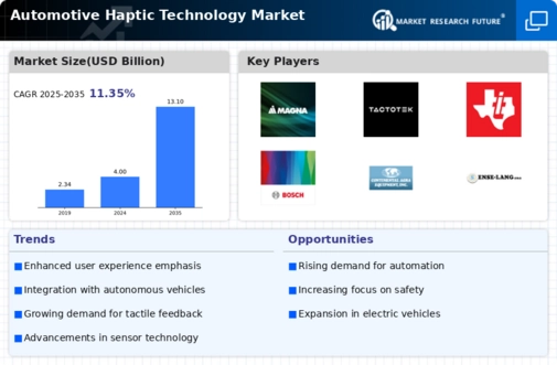 Automotive Haptic Technology Market Infographic