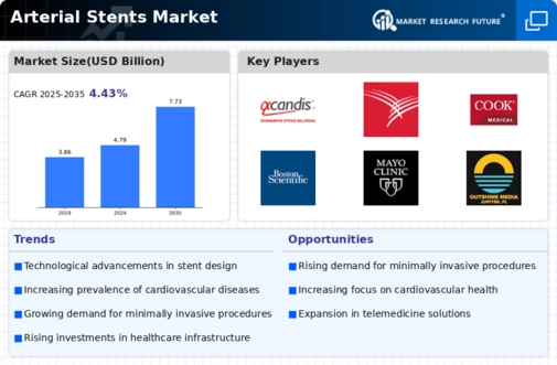 Arterial Stents Market Infographic