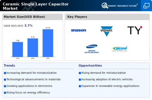 Ceramic Single layer Capacitor Market Infographic