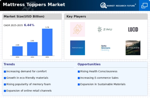 Mattress Toppers Market Infographic