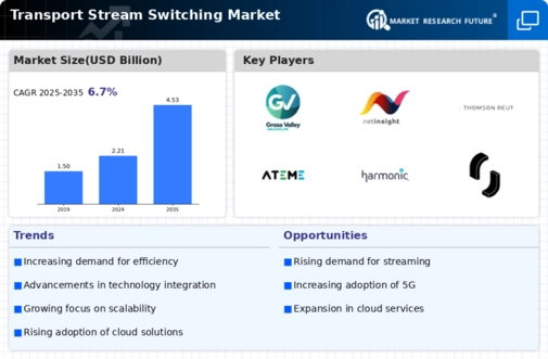 Transport Stream Switching Market Infographic