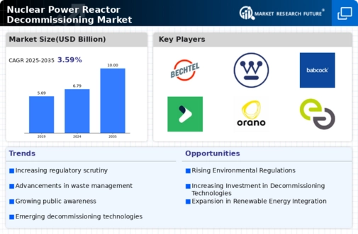 Nuclear Power Reactor Decommissioning Market Infographic