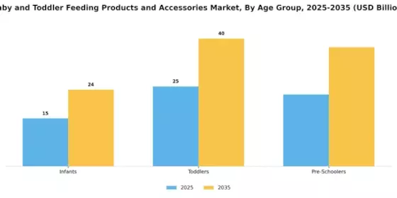 Baby Toddler Feeding Product Accessories Market Segment Image 3