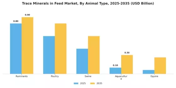Trace Minerals in Feed Market Segment Image 1