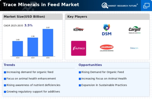 Trace Minerals in Feed Market Infographic
