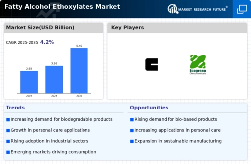 Fatty Alcohol Ethoxylates Market Infographic