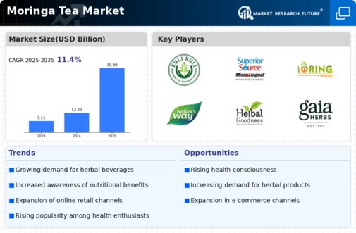 Moringa Tea Market Infographic