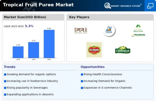 Tropical Fruit Puree Market Infographic