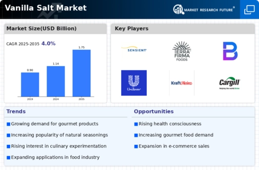 Vanilla Salt Market Infographic