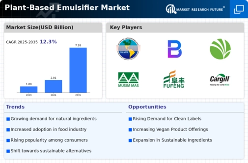 Plant Based Emulsifier Market Infographic