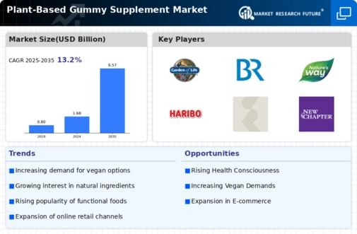 Plant Based Gummy Supplement Market Infographic