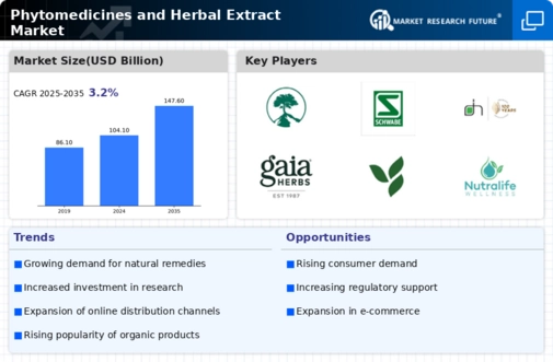 Phytomedicines and Herbal Extract Market Infographic