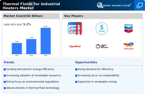 Thermal Fluids for Industrial Heaters Market Infographic