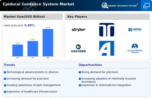 Epidural Guidance System Market Infographic