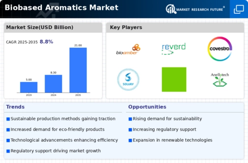 Biobased Aromatics Market Infographic
