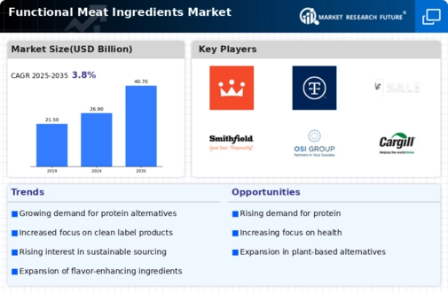 Functional Meat Ingredients Market Infographic