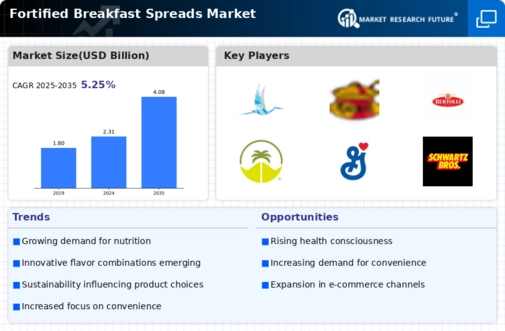 Fortified Breakfast Spreads Market Infographic