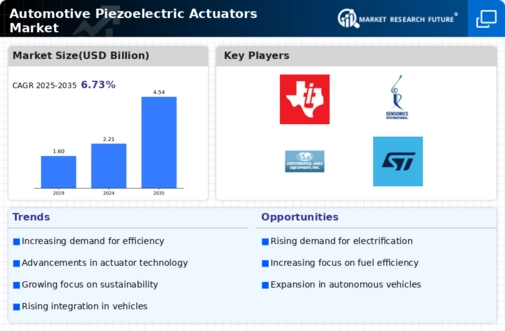 Automotive Piezoelectric Actuators Market Infographic