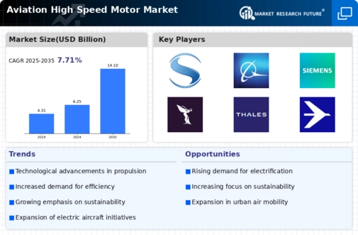 Aviation High-speed Motor Market Infographic